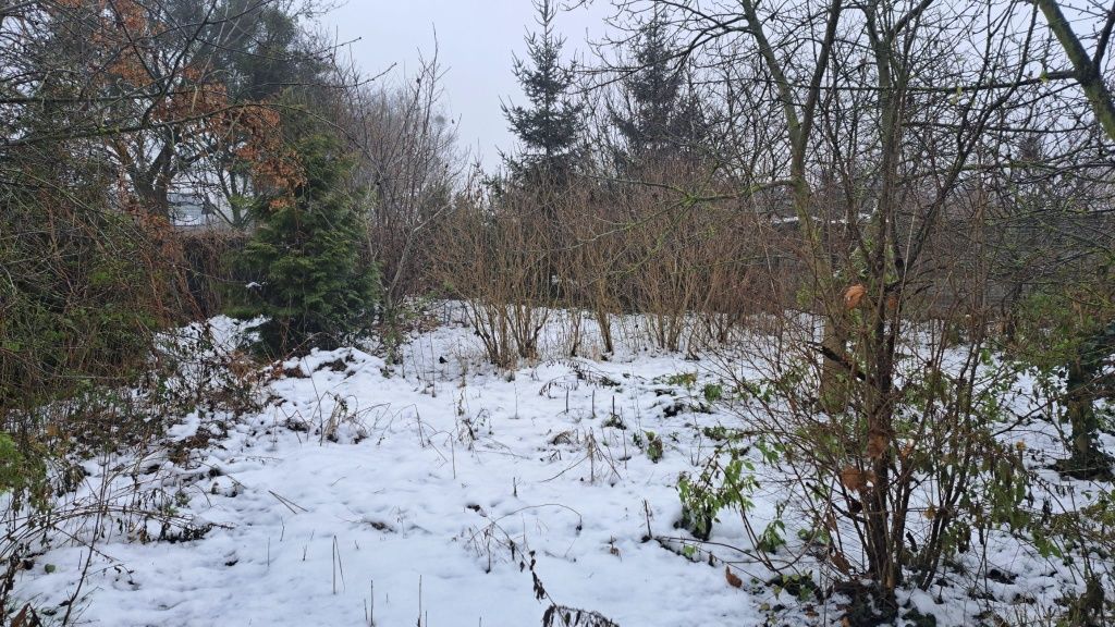 Działka budowlana Świecie Stare Miasto. Zdjęcie 3