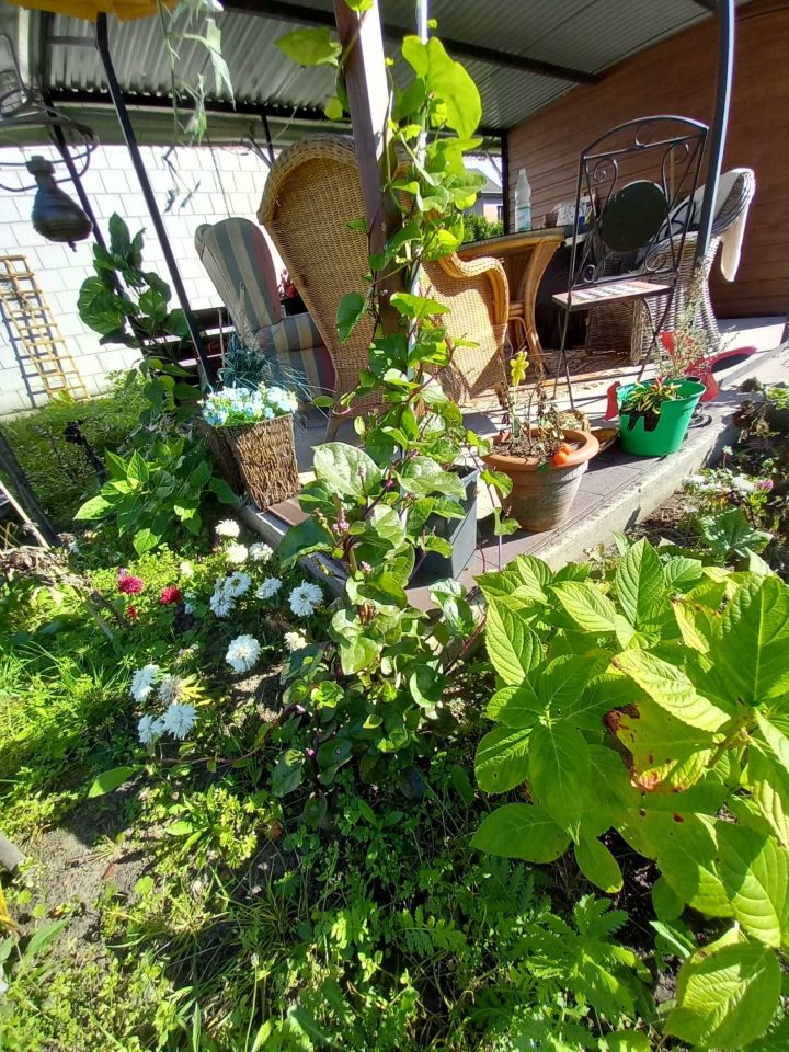 Działka budowlana Pionki, ul. św. Królowej Jadwigi. Zdjęcie 2