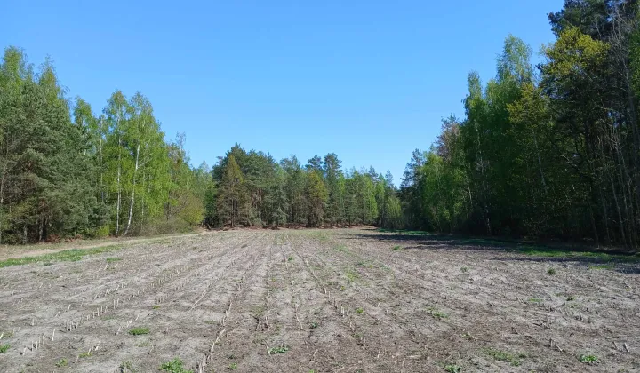 Działka budowlana Myszyniec Stary