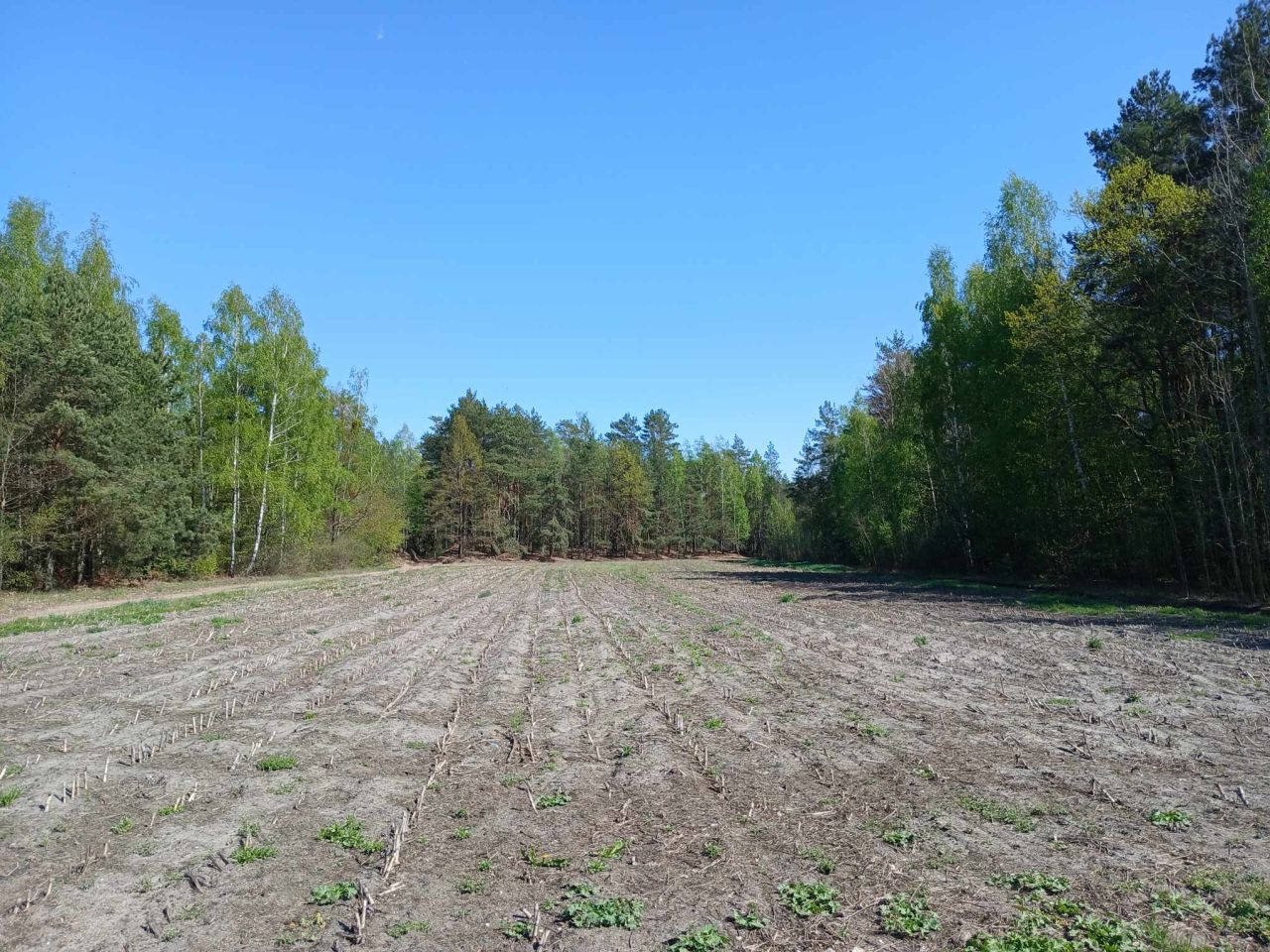 Działka budowlana Myszyniec Stary