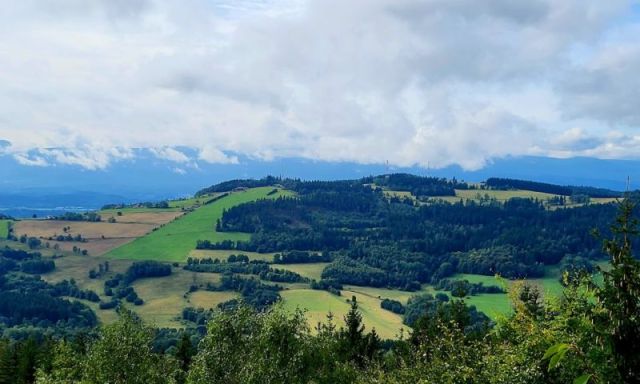 Działka inwestycyjna Dziwiszów. Zdjęcie 3