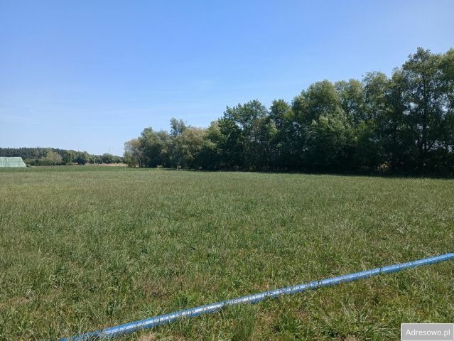 Działka budowlana Grodzisk Wielkopolski, ul. Sosnowa. Zdjęcie 1