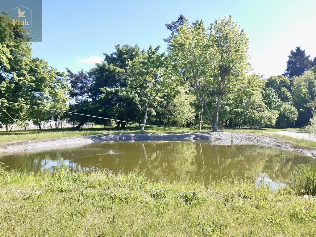 Działka budowlana Luciny. Zdjęcie 17