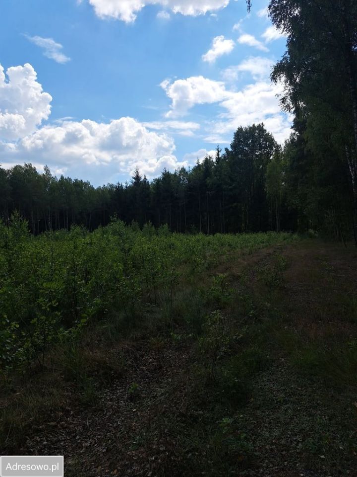Działka Gredele. Zdjęcie 5