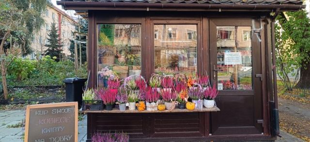 Lokal Kraków Krowodrza, ul. Królewska. Zdjęcie 1