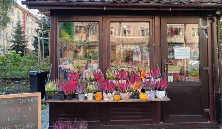 Lokal Kraków Krowodrza, ul. Królewska