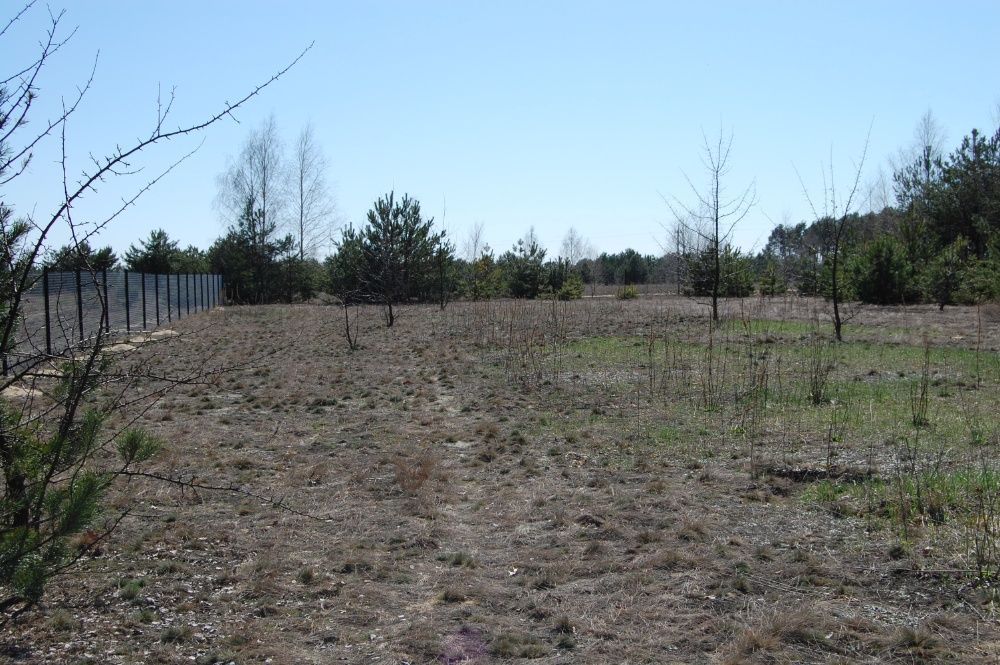 Działka budowlana Wola Pieczyska