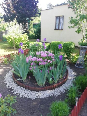 Działka rekreacyjna Włocławek Rybnica. Zdjęcie 1