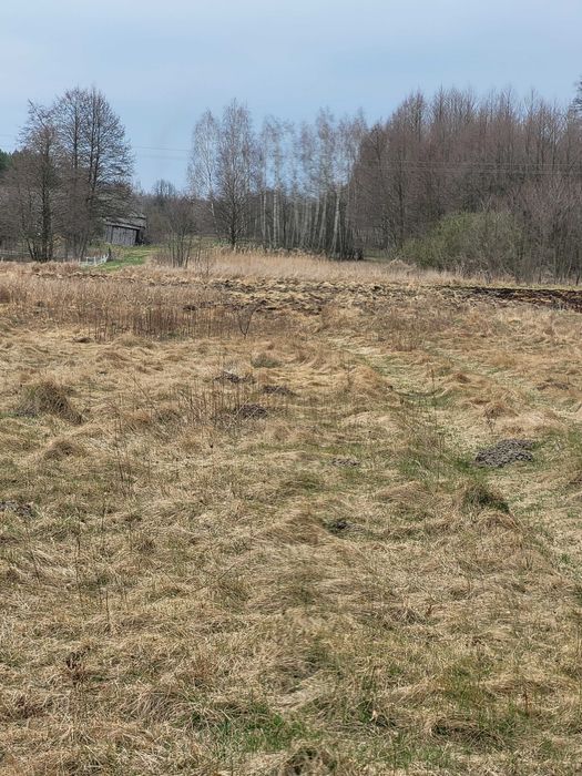 Działka rolno-budowlana Jesionka. Zdjęcie 7