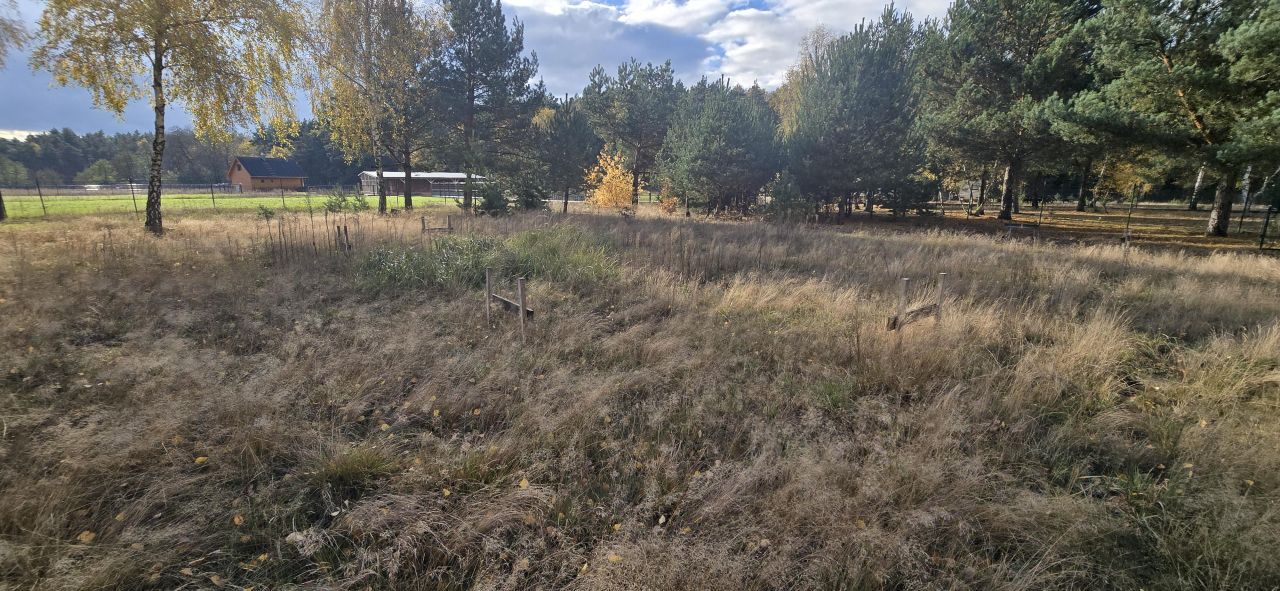 Działka budowlana Skrzynka. Zdjęcie 2