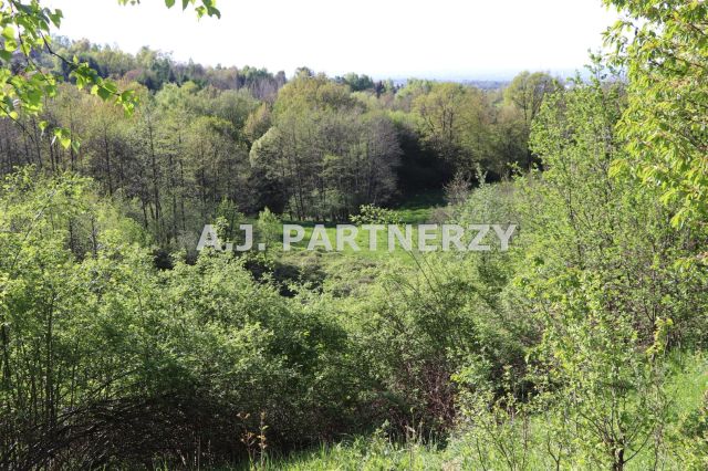 Działka Lednica Górna. Zdjęcie 12