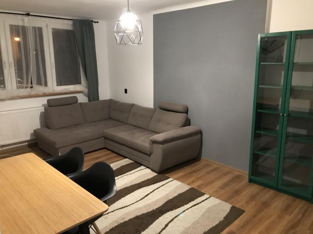 Mieszkanie 1-pokojowe Tarczyn, ul. Warszawska. Zdjęcie 1