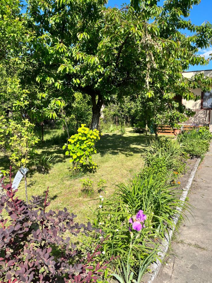 Działka rod Sosnowiec Środula, ul. gen. Mariusza Zaruskiego. Zdjęcie 6