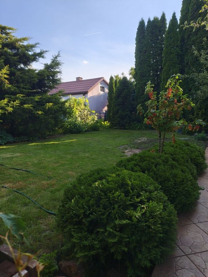 Działka rod Toruń Rubinkowo, ul. Klonowa. Zdjęcie 8