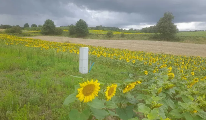 Działka budowlana Małe Łąkie