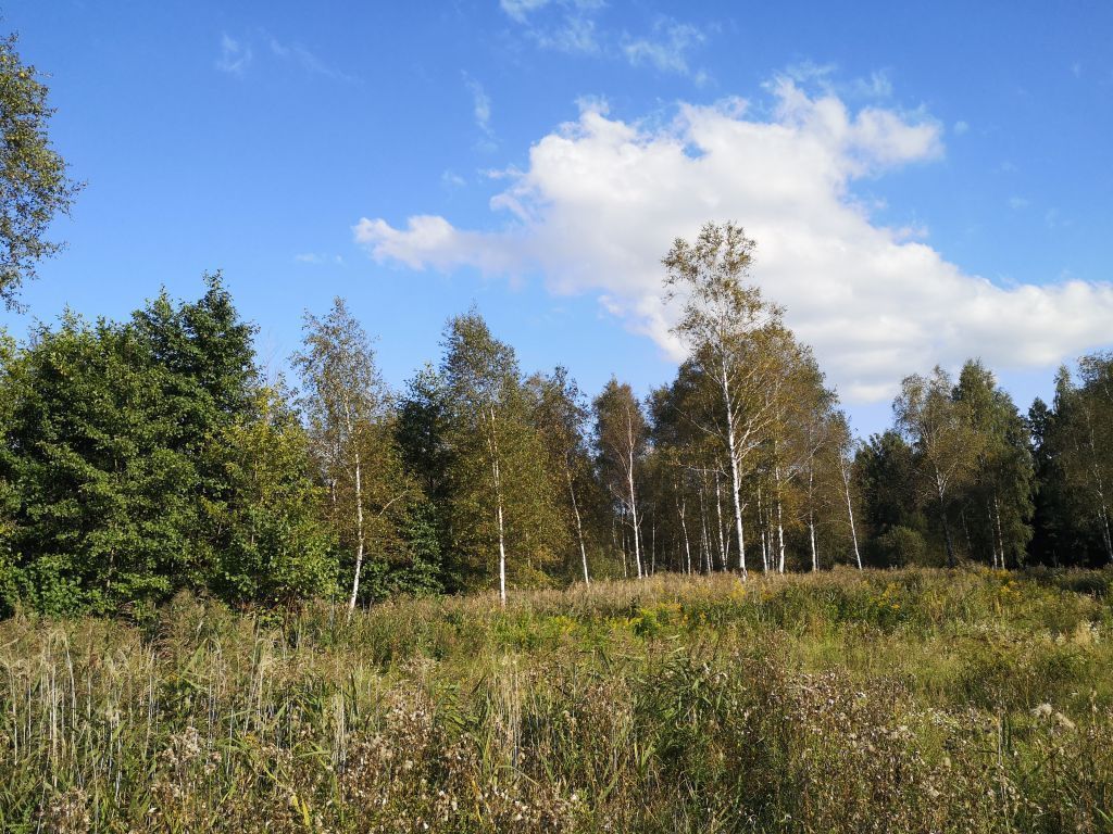 Działka rekreacyjna Szczechy Małe. Zdjęcie 4