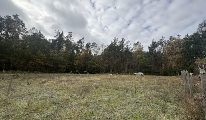 Działka budowlana Warszkowo