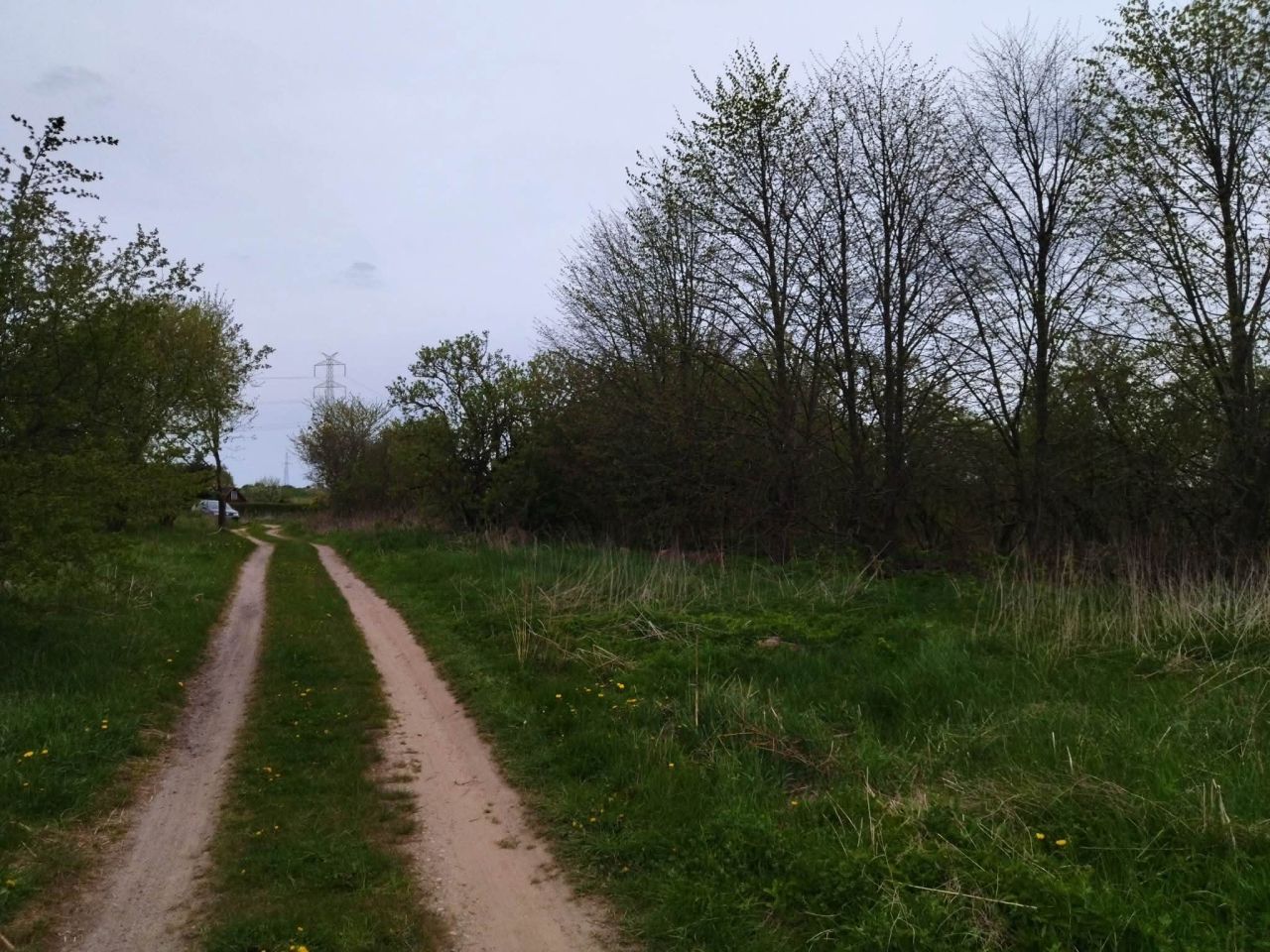 Działka budowlana Dźwierzuty, Dźwierzuty. Zdjęcie 15