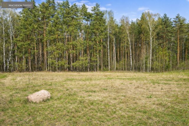 Działka leśna Skrzynki. Zdjęcie 4