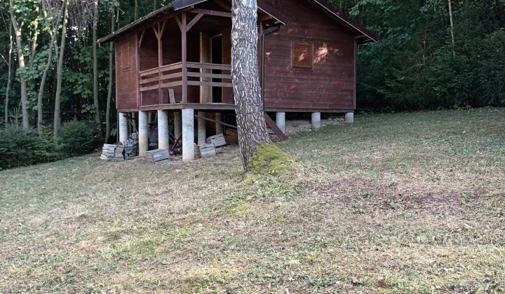 Działka rolna Cergowa