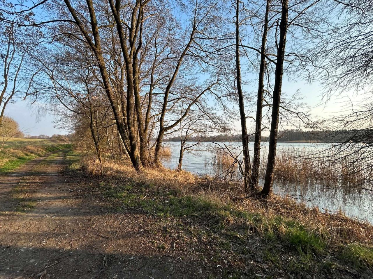 Działka budowlana Złotniczki, ul. Błękitna. Zdjęcie 1