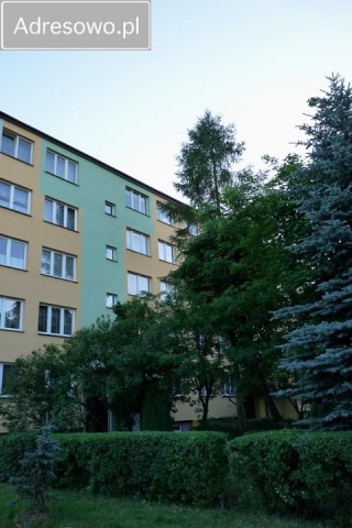 Mieszkanie 2-pokojowe Bełchatów, ul. Stefana Okrzei. Zdjęcie 1