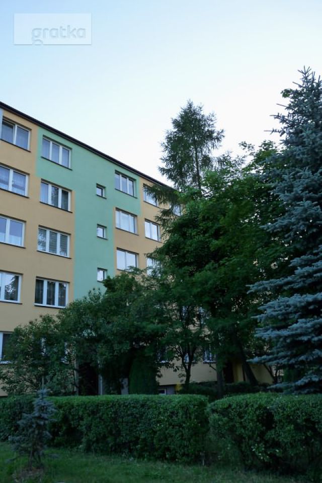 Mieszkanie 2-pokojowe Bełchatów, ul. Stefana Okrzei