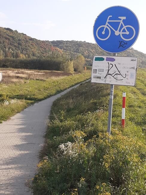 Działka rolno-budowlana Parchatka. Zdjęcie 10