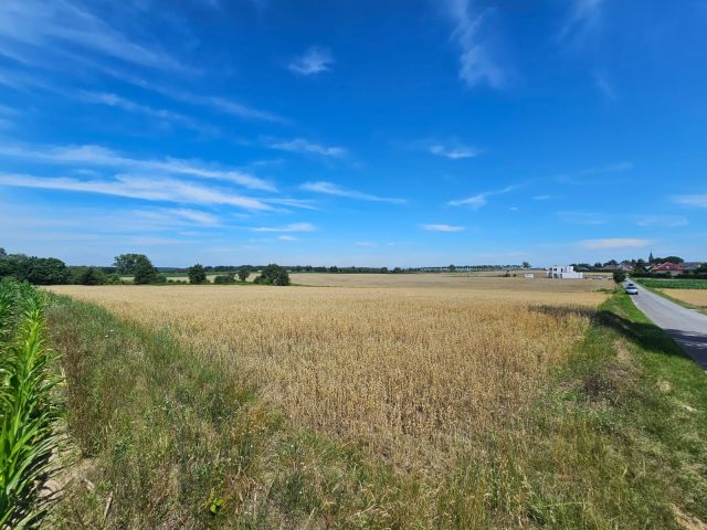 Działka budowlana Grzybno. Zdjęcie 1