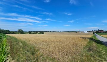 Działka budowlana Grzybno