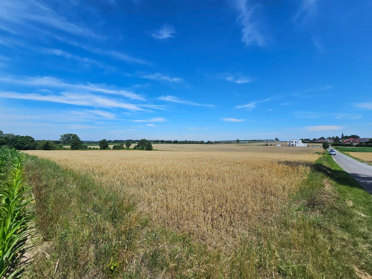 Działka budowlana Grzybno