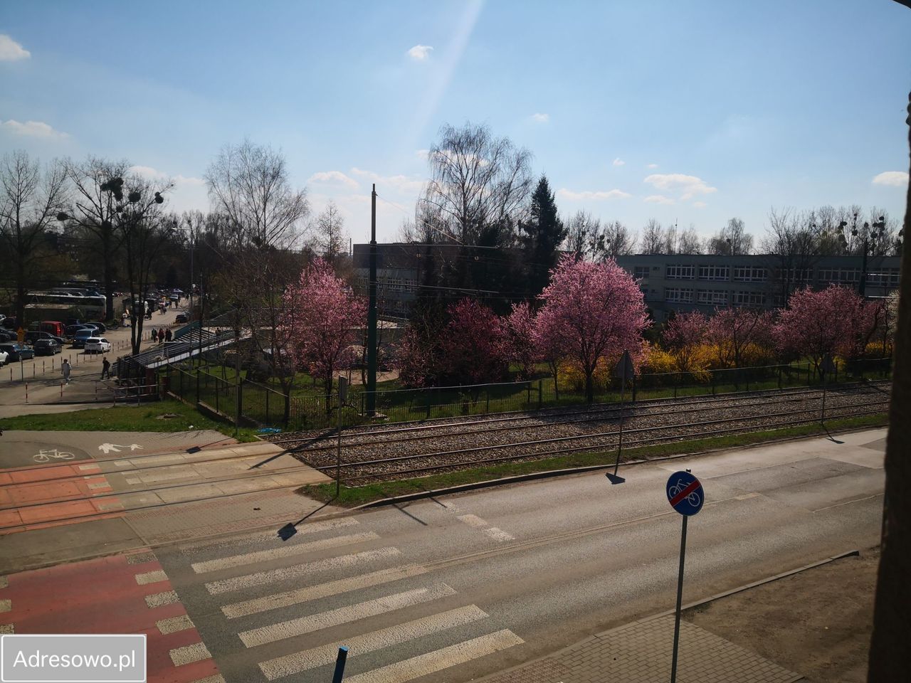 Lokal Bytom, ul. Andrzeja Frycza-Modrzewskiego. Zdjęcie 11