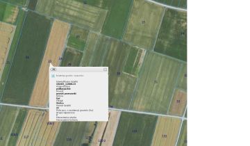 Działka rolna Wolica