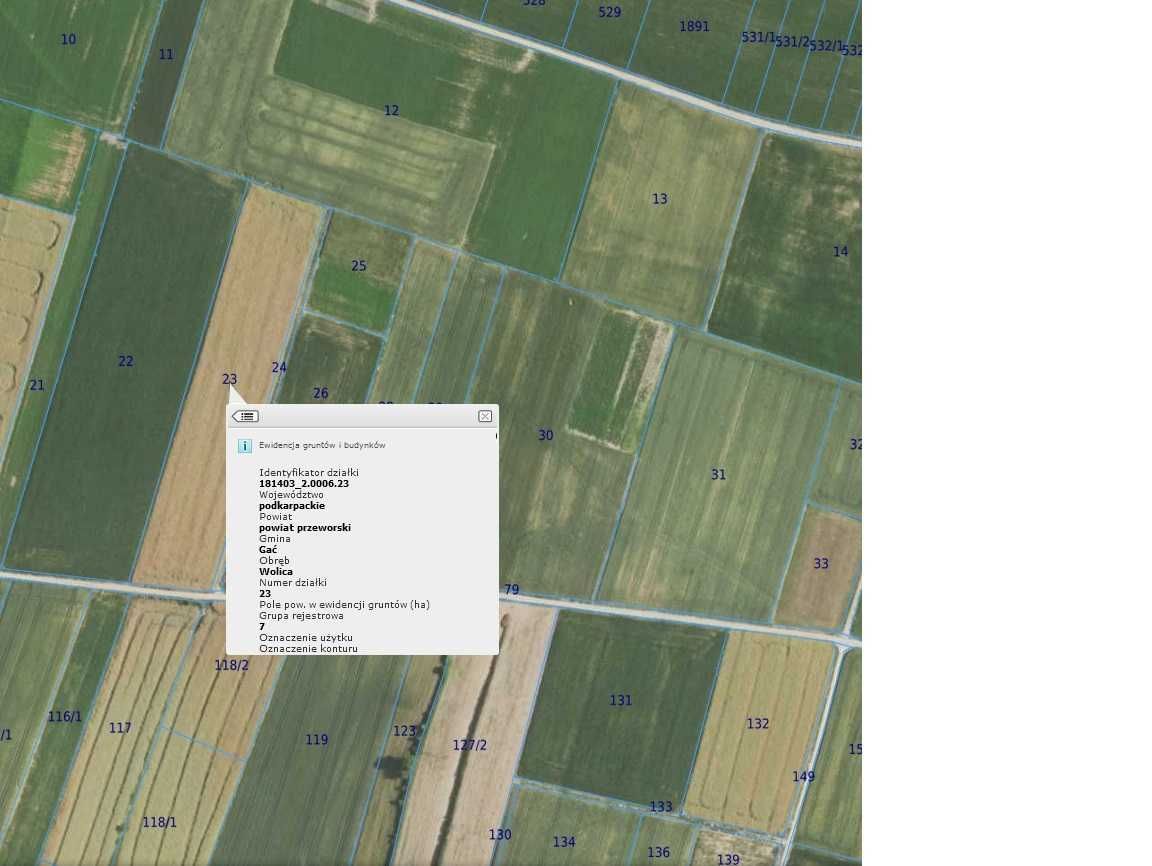 Działka rolna Wolica. Zdjęcie 2