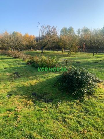 dom, 3 pokoje Opole Wróblin. Zdjęcie 5