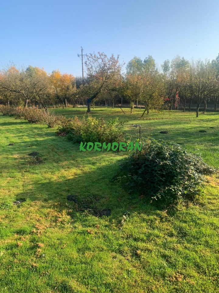 dom, 3 pokoje Opole Wróblin. Zdjęcie 5