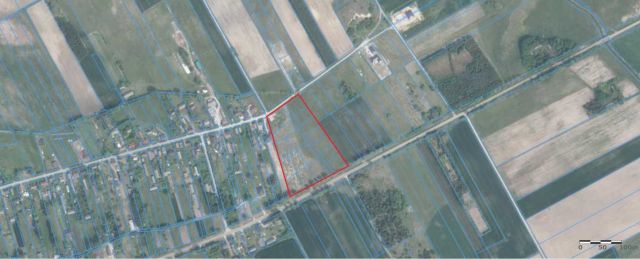 Działka budowlana Kotły. Zdjęcie 1