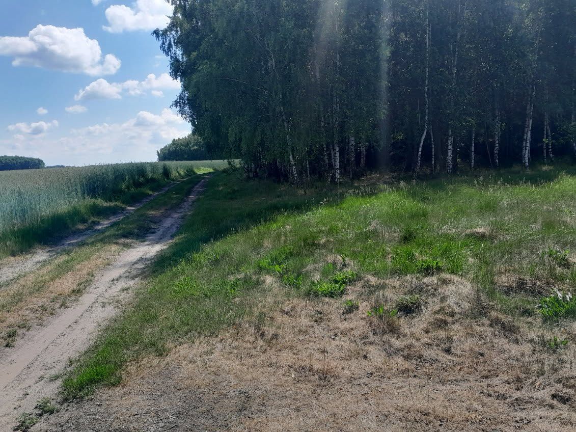 Działka rolno-budowlana Babiec-Więczanki. Zdjęcie 7