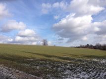 Działka rolno-budowlana Grudna Górna. Zdjęcie 4