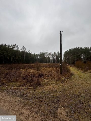 Działka rolno-budowlana Sucha Rzeczka. Zdjęcie 1