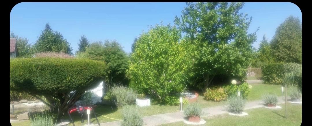 Działka rod Kulów, Kulów. Zdjęcie 18