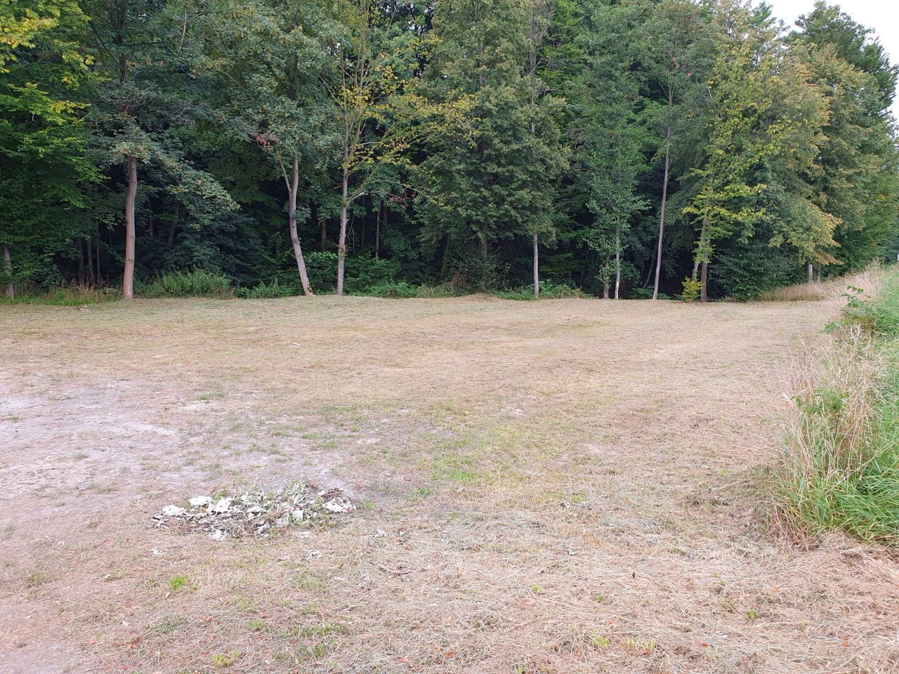 Działka inwestycyjna Rzyki, Kamieniec. Zdjęcie 5