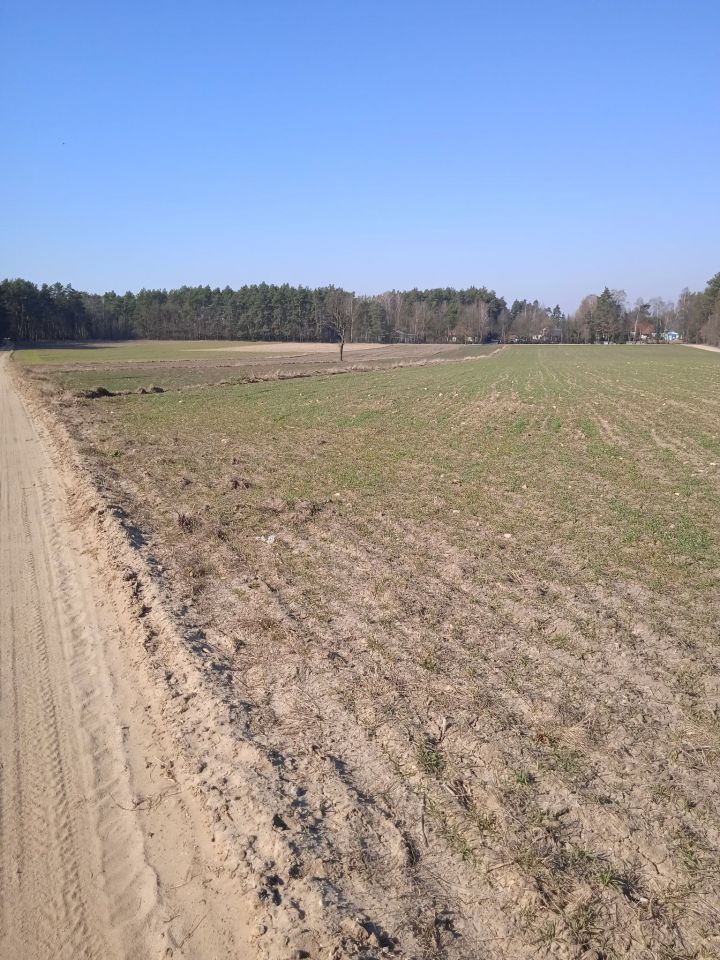 Działka budowlana Teodorów. Zdjęcie 6