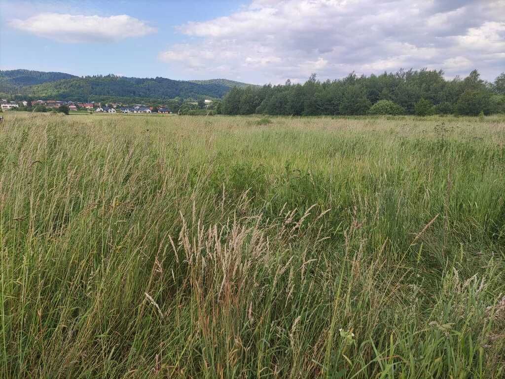 Działka Sanok Olchowce. Zdjęcie 3