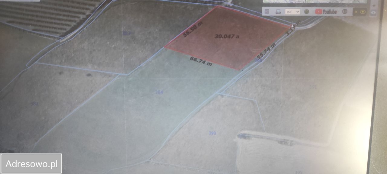 Działka rolna Wola Piskulina. Zdjęcie 4