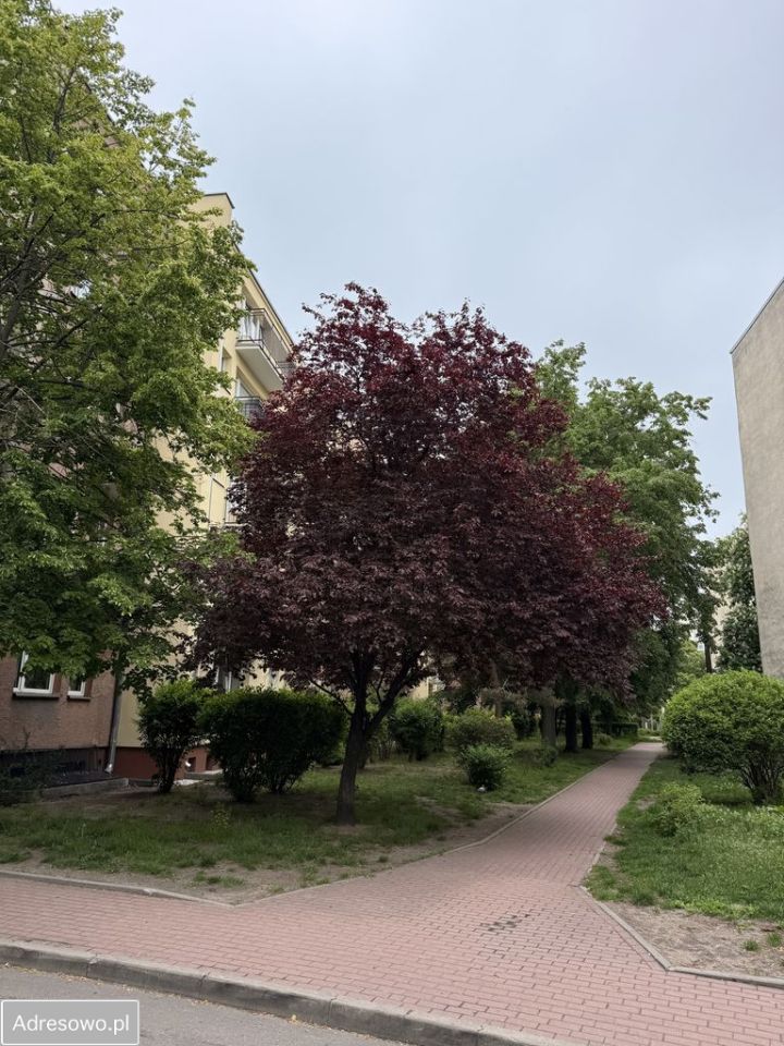 Mieszkanie 2-pokojowe Pruszków Centrum, al. Wojska Polskiego. Zdjęcie 19