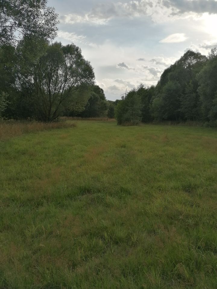 Działka rolna Koziołki. Zdjęcie 4