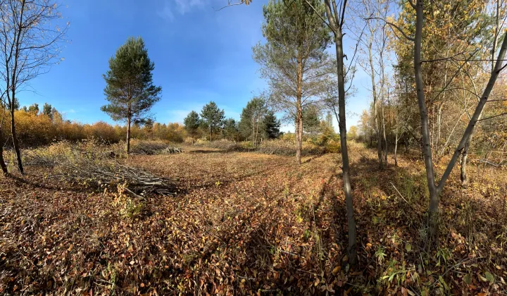 Działka budowlana Żółwin, ul. Sarenki