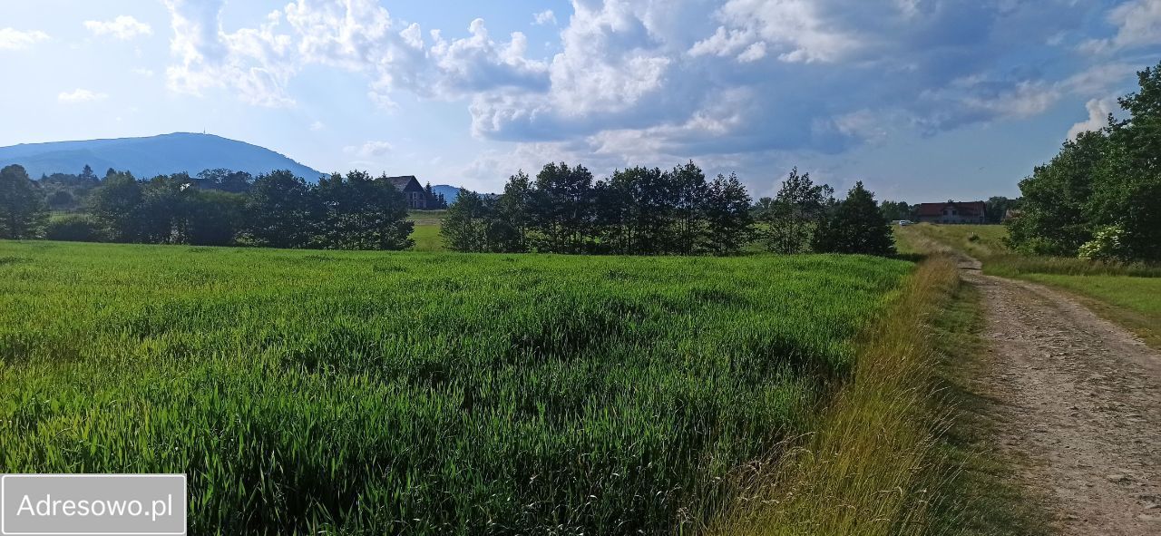 Działka budowlana Twardorzeczka, ul. Widokowa. Zdjęcie 10