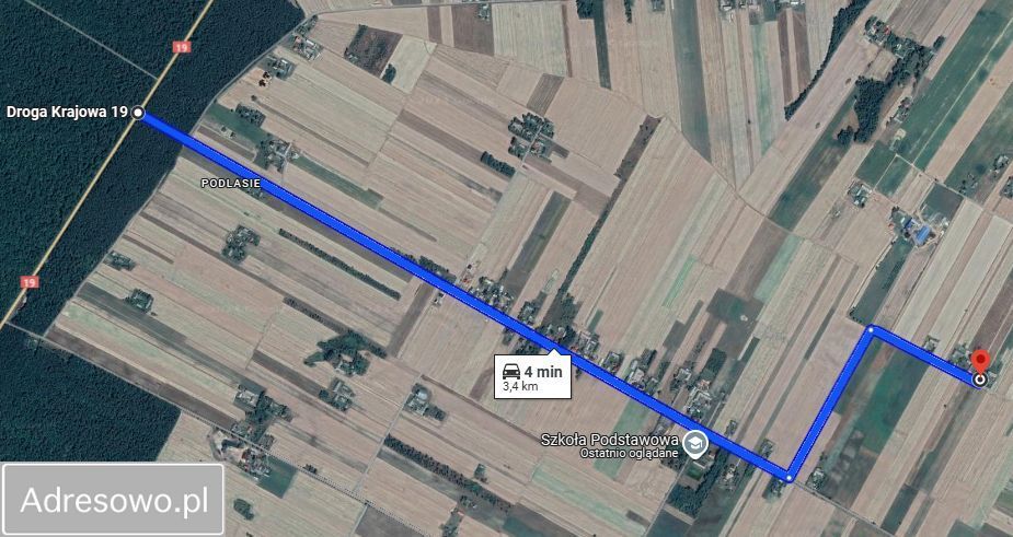 siedlisko Tchórzew-Kolonia. Zdjęcie 13